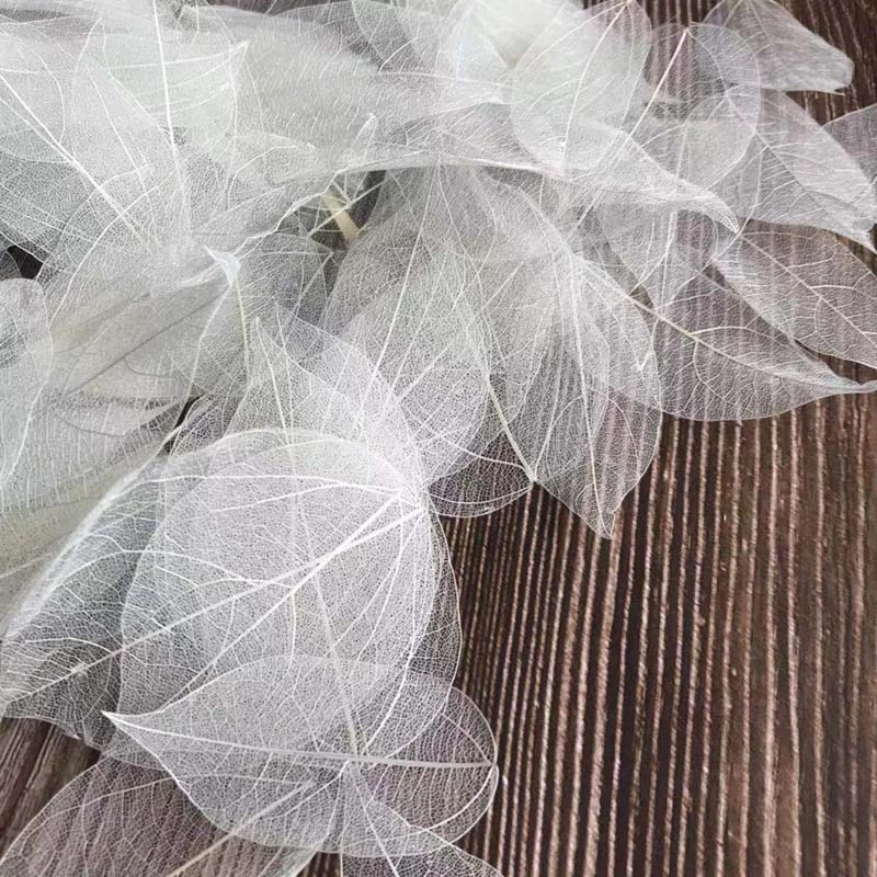 Dried Flower Pressed - 5~9CM*2~3.5CM, 100개/세트, 진짜 건조된 천연 바즈라