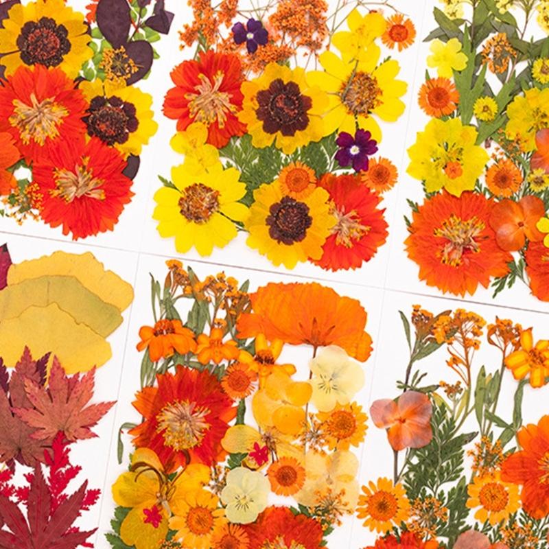 Dried Flower Pressed - 수지 금형 스크랩북 쥬얼리 비누 캔들