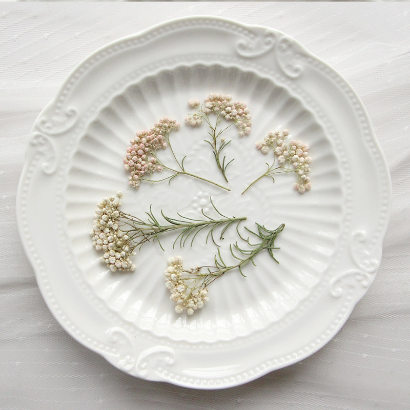 Dried Flower Pressed - 12개, 자연산 수수꽃 가지, 압화 DIY