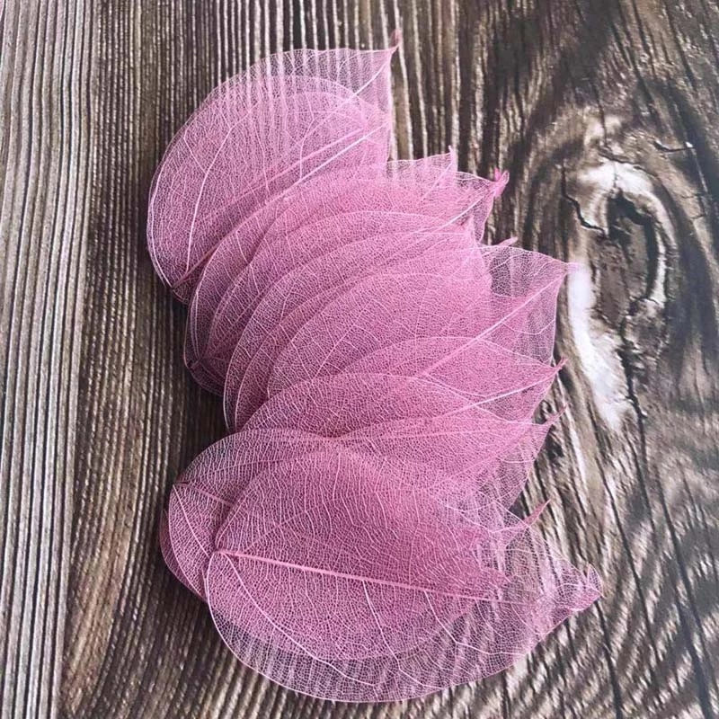 5~9CM*2~3.5CM, 100개/세트, 진짜 건조된 - Dried Flower Pressed 리뷰 및 가격