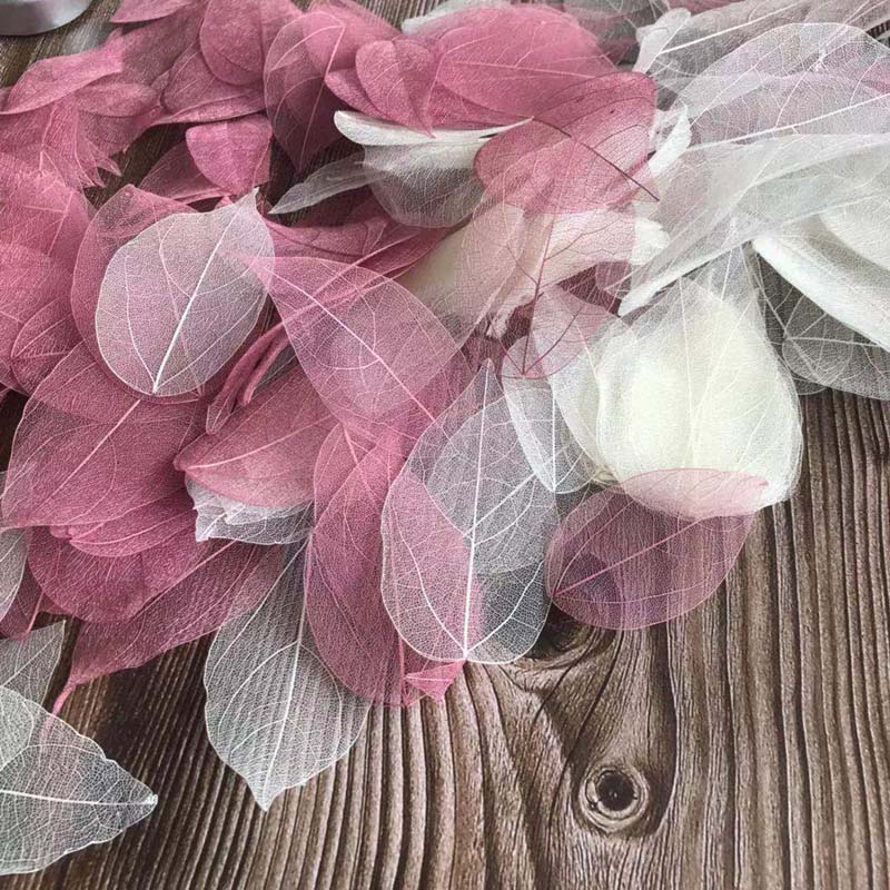 5~9CM*2~3.5CM, 100개/세트, 진짜 건조된 - Dried Flower Pressed 리뷰 및 가격