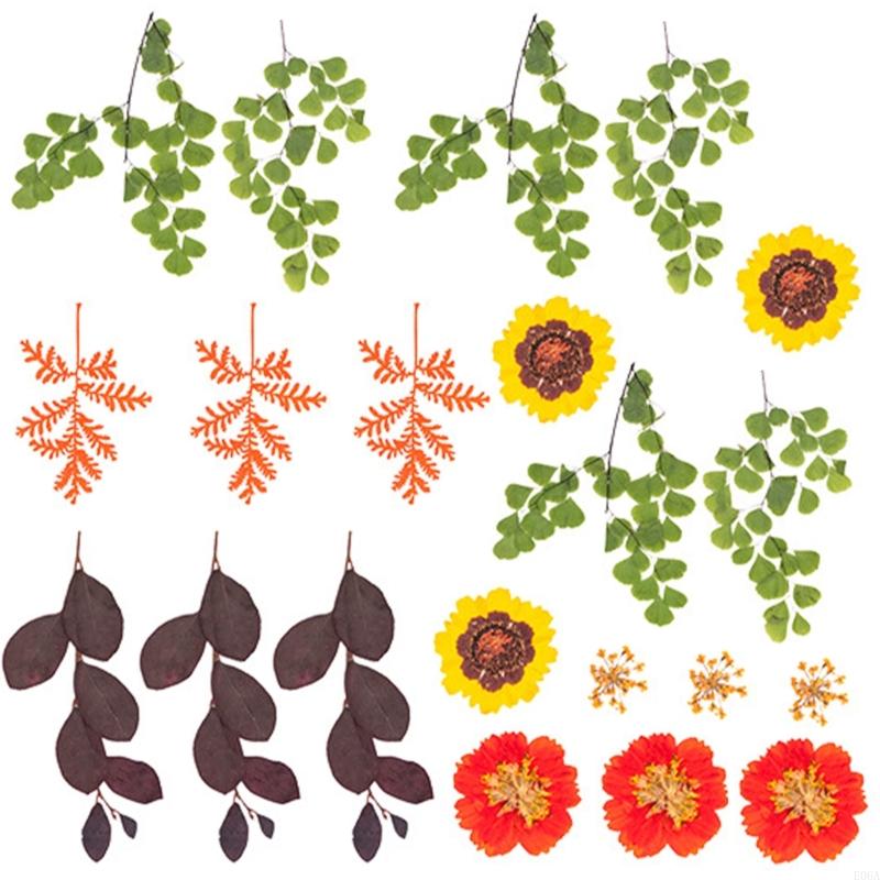 수지 금형 스크랩북 쥬얼리 비누 캔들 만들기용 말린 압 - Dried Flower Pressed 리뷰 및 가격