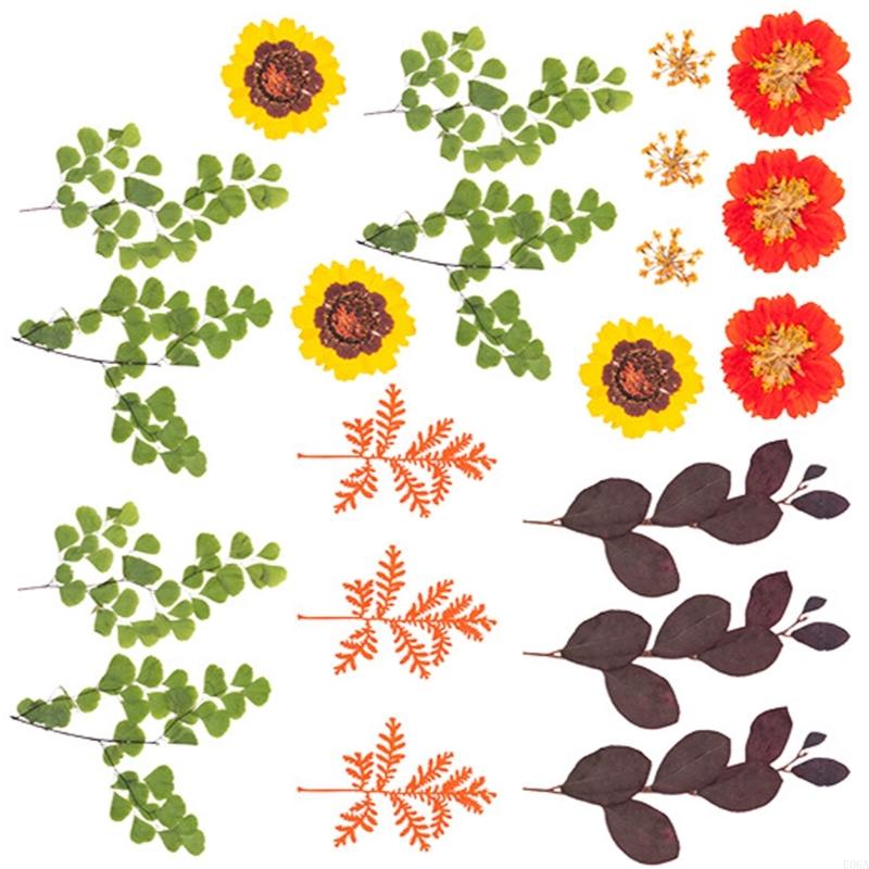 수지 금형 스크랩북 쥬얼리 비누 캔들 만들기용 말린 압 - Dried Flower Pressed 리뷰 및 가격