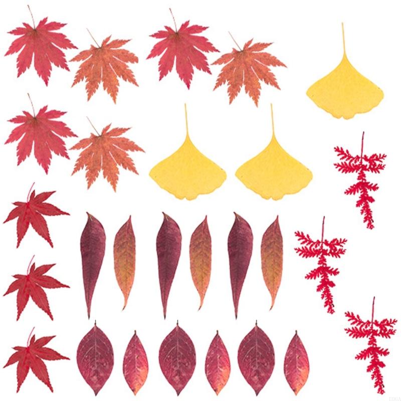 수지 금형 스크랩북 쥬얼리 비누 캔들 만들기용 말린 압 - Dried Flower Pressed 리뷰 및 가격