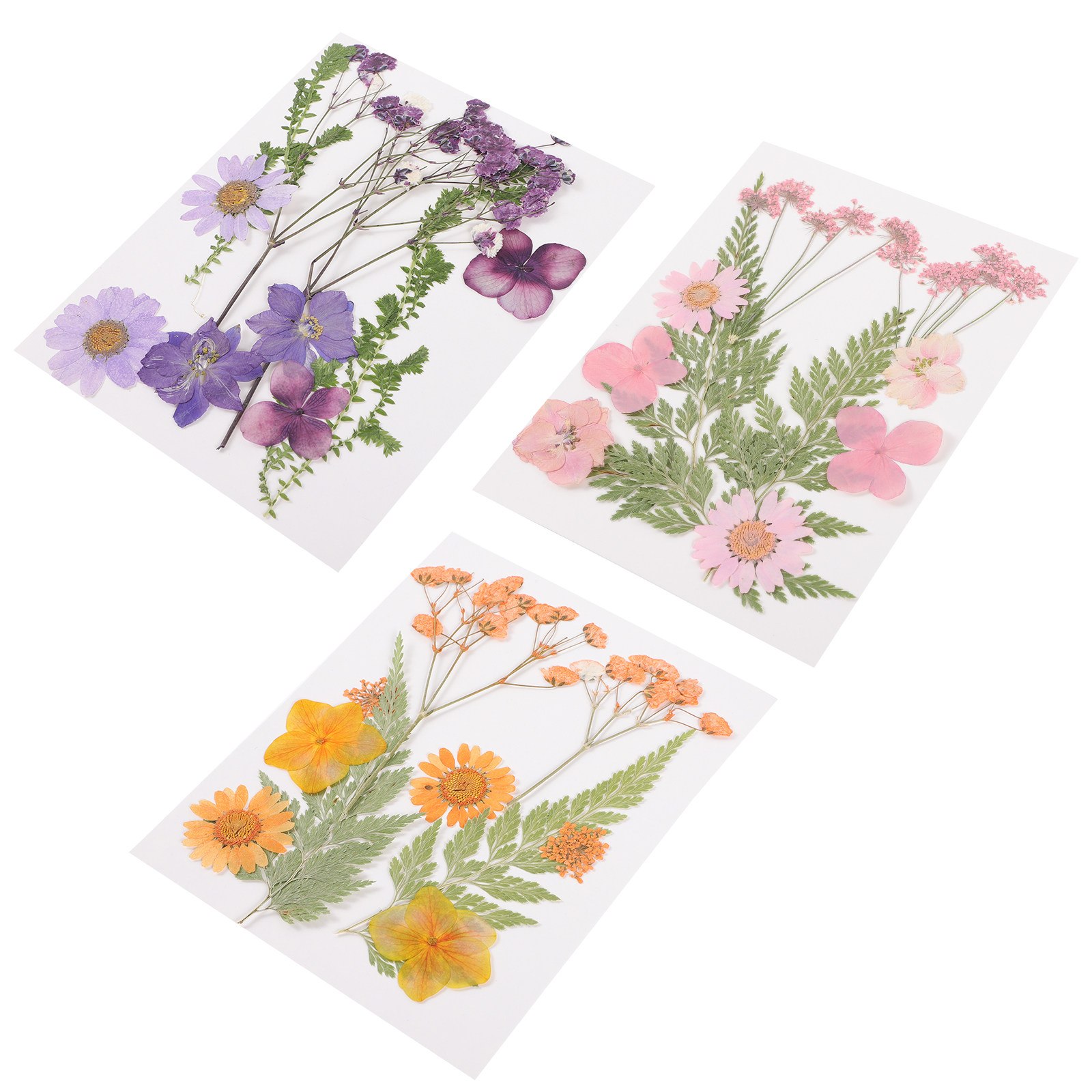 말린 꽃 장식 재료 3종 세트 레진 엠보싱 화려한 꽃잎 - Dried Flower Pressed 리뷰 및 가격