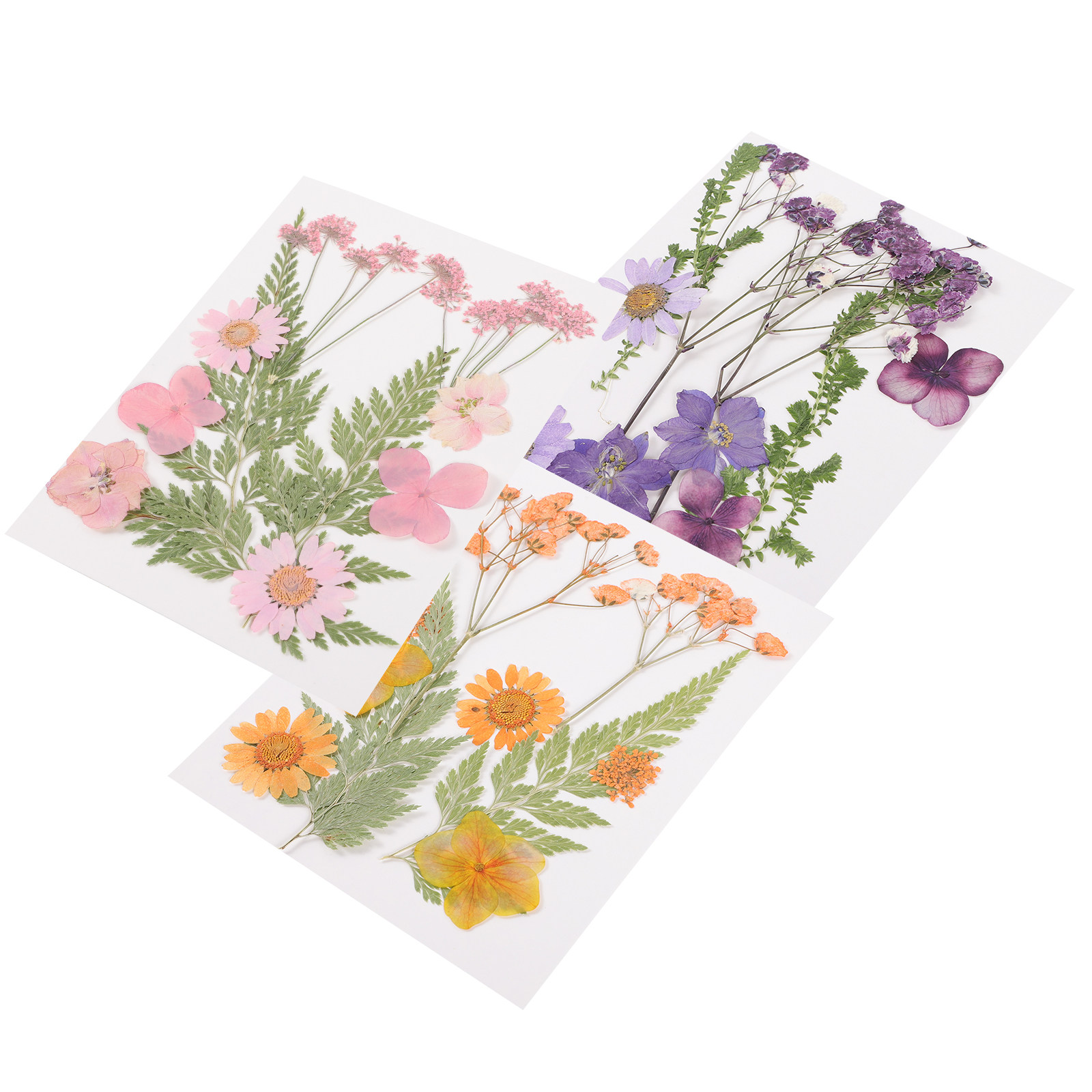 말린 꽃 장식 재료 3종 세트 레진 엠보싱 화려한 꽃잎 - Dried Flower Pressed 리뷰 및 가격