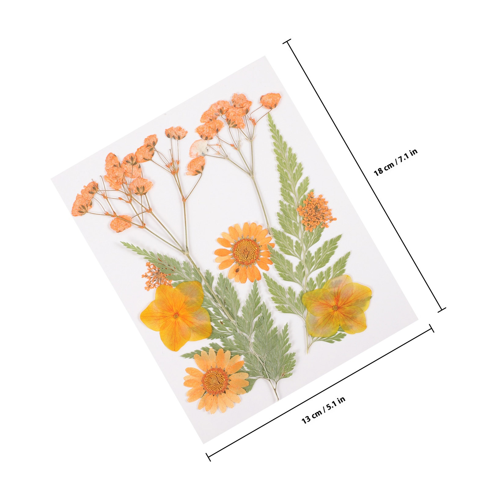 말린 꽃 장식 재료 3종 세트 레진 엠보싱 화려한 꽃잎 - Dried Flower Pressed 리뷰 및 가격