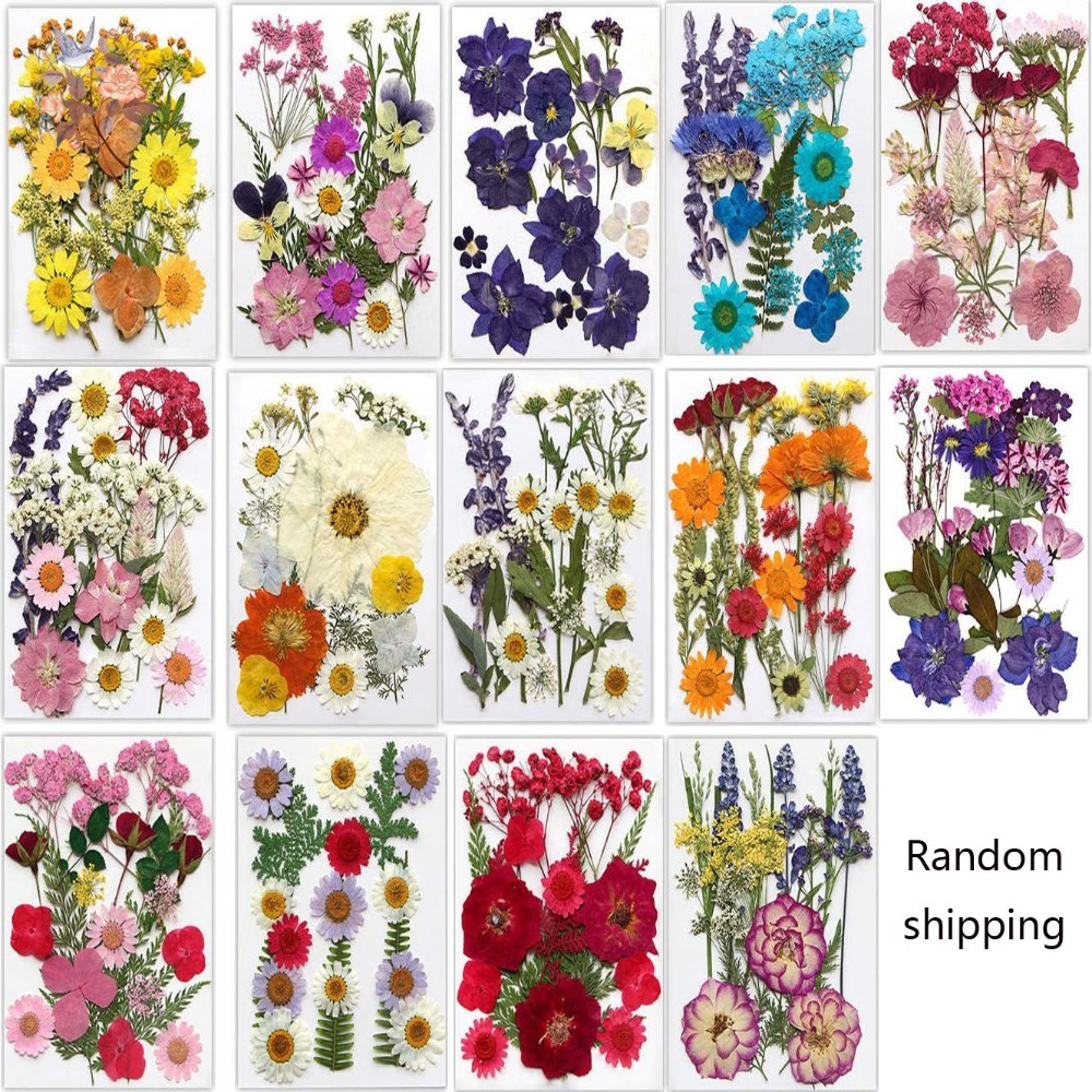 수제 압화 북마크 DIY 재료 투명 병 스티커 수제 엠 - Dried Flower Pressed 리뷰 및 가격