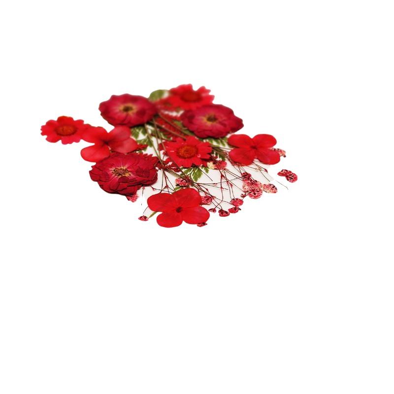실제 천연 압축 건조 식물 꽃 DIY 공예 재료 네일  - Dried Flower Pressed 리뷰 및 가격