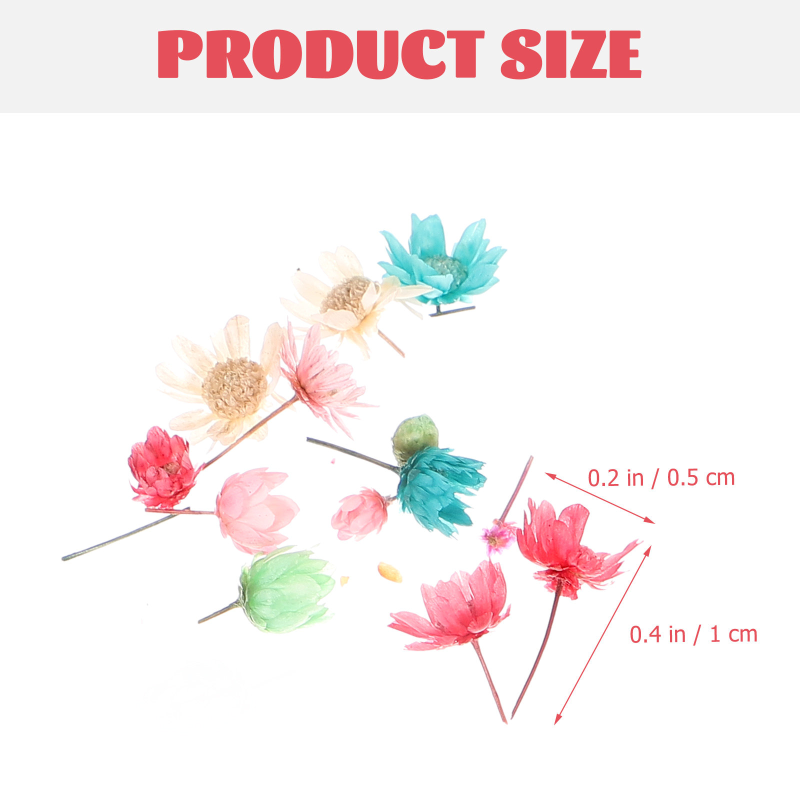 DIY 건조 꽃, 크리스탈 레진 꽃 장식, 분홍색 압화 - Dried Flower Pressed 리뷰 및 가격